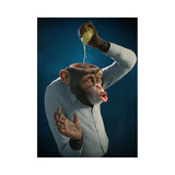 Black Gorilla Canvas, Monkey Wall Art Animal Posters And